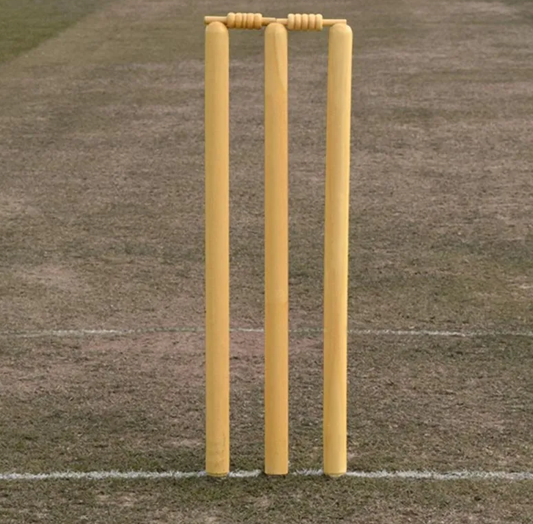 Dazz Wooden Stumps (6)